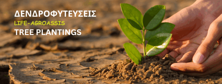 LIFE-AgrOassis Tree Planting