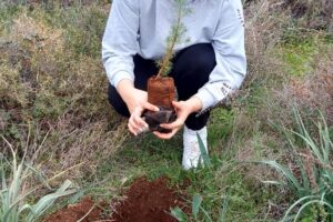 Tree planting Ayios Epiktitos 21.01 (3)
