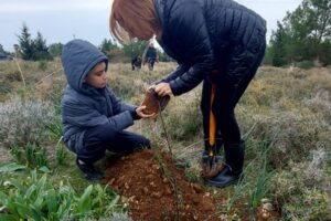 Tree planting Ayios Epiktitos 21.01 (4)
