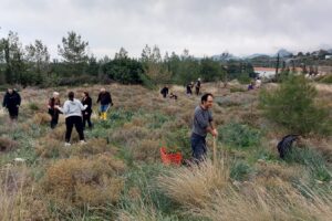 Tree planting Ayios Epiktitos 21.01 (6)