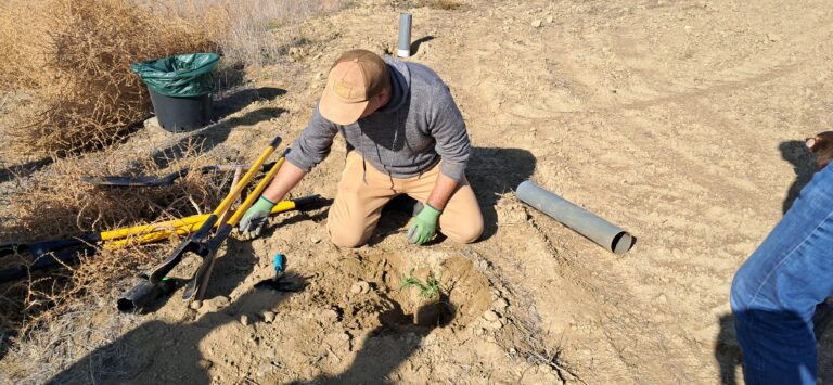 LIFE-AgrOassis tree planting event CDB