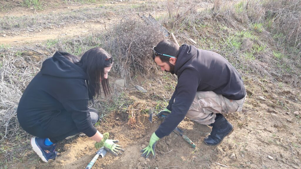 LIFE-AgrOassis tree planting event ANCORIA