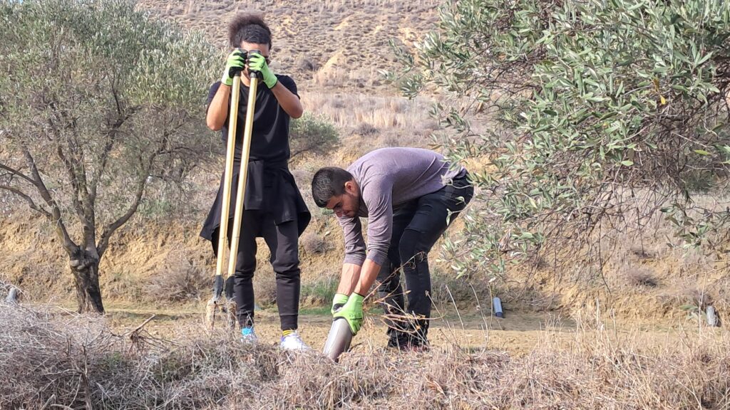 LIFE-AgrOassis tree planting event ANCORIA