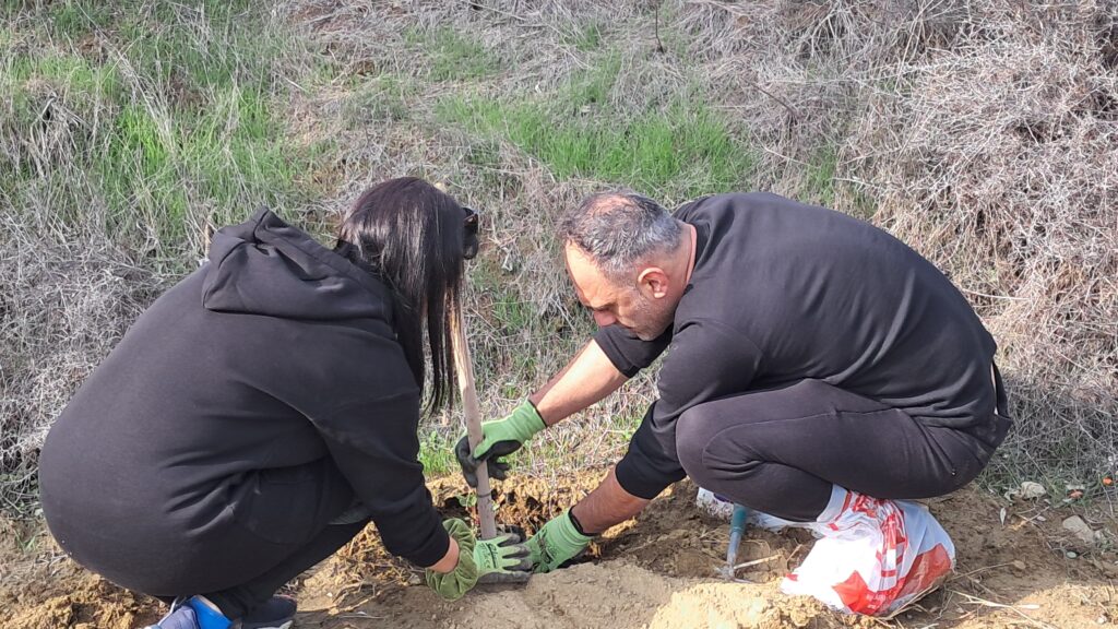 LIFE-AgrOassis tree planting event ANCORIA