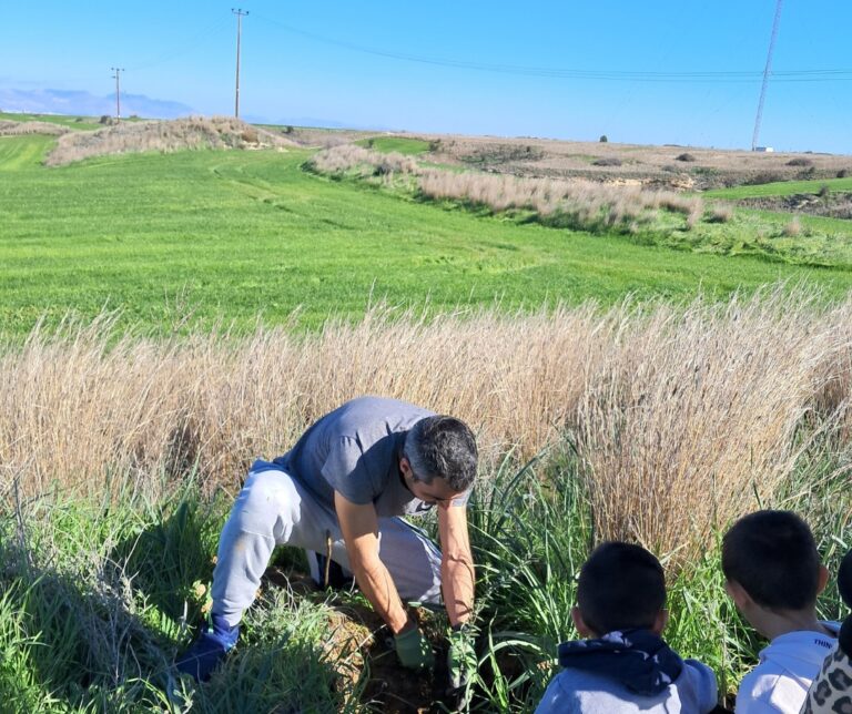 LIFE-AgrOassis tree planting event Cyprus Greens