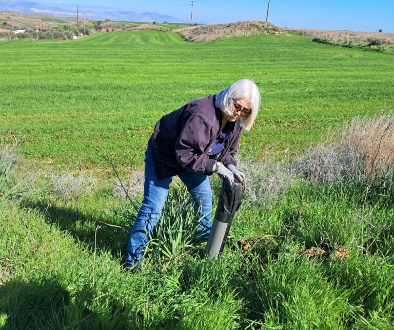 LIFE-AgrOassis tree planting event Cyprus Greens