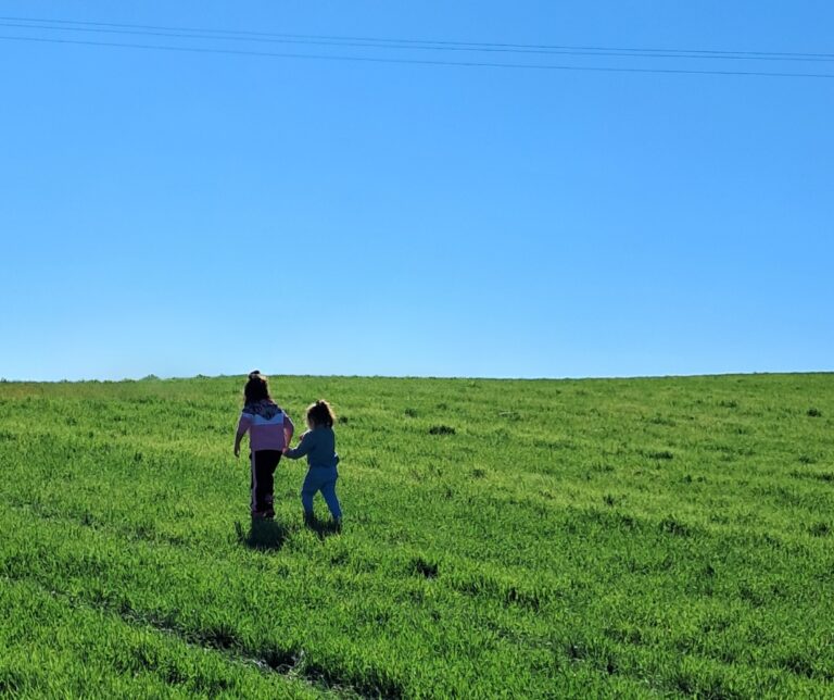 LIFE-AgrOassis tree planting event Cyprus Greens