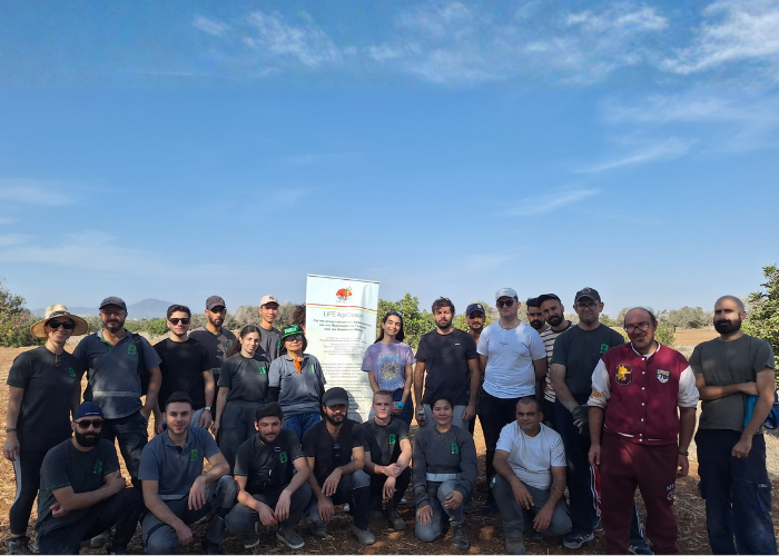 Tree planting with
