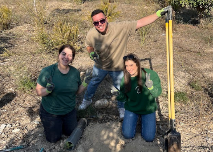 Tree planting with Ancoria Bank