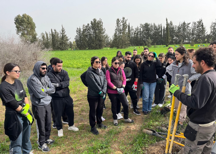 tree-planting with Deloitte 1