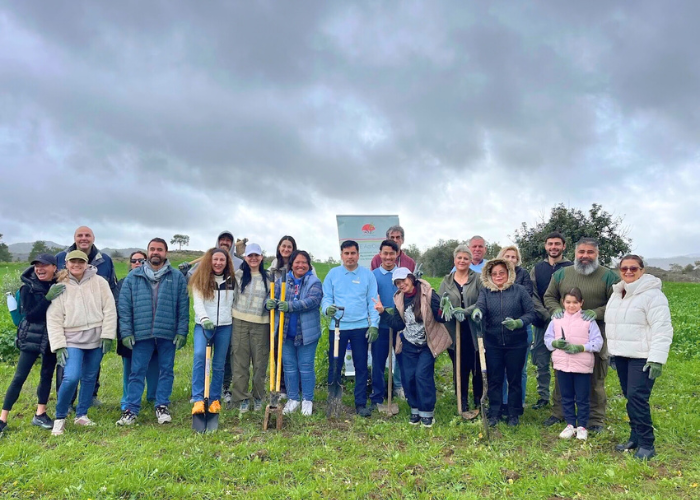 tree-planting with Parklane 1