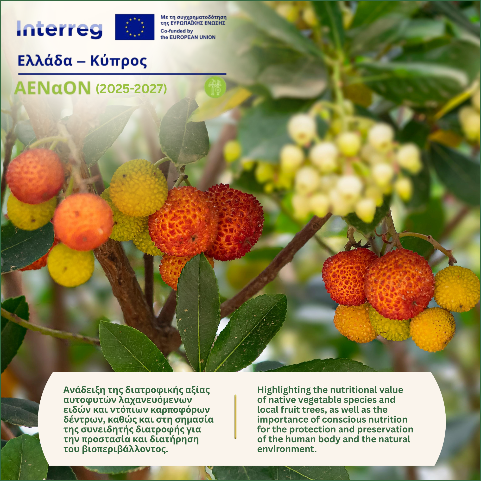 ΑΕΝαΟΝ Interreg Ελλάδα Κύπρος
