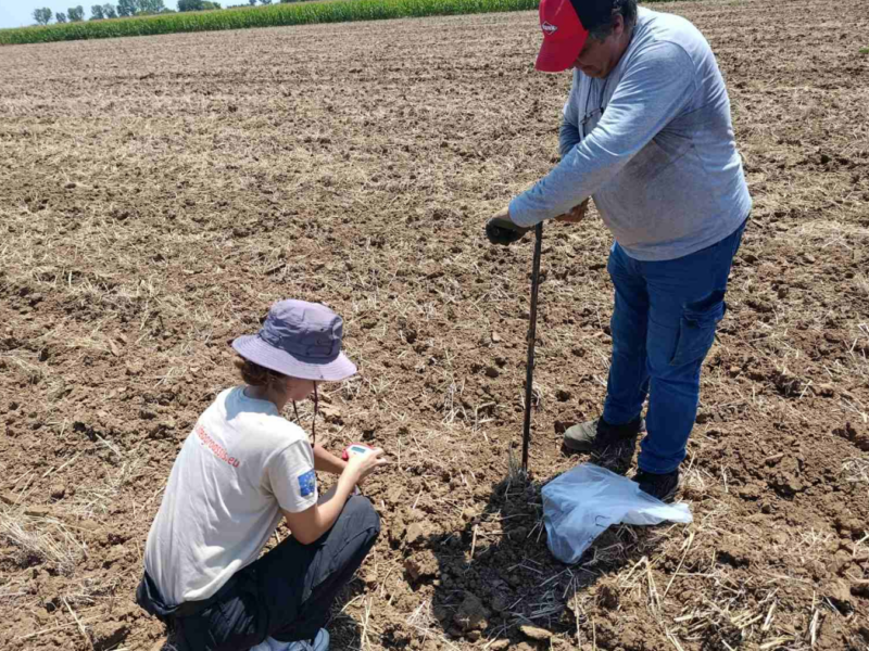 Field measurements 1