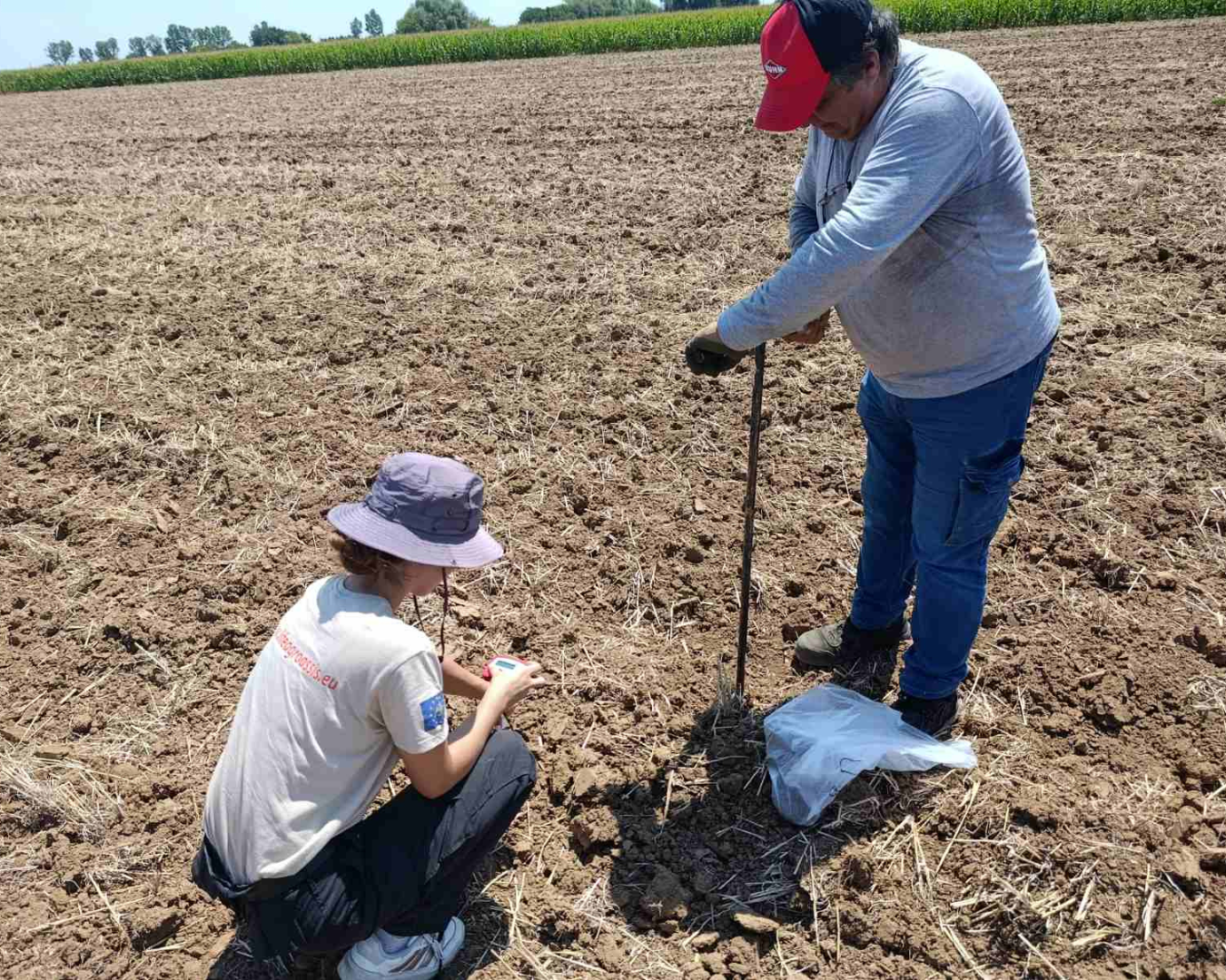 Field measurements 1